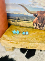 Dainty Turquoise Studs